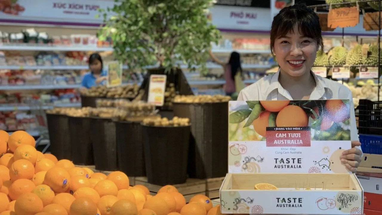 Lấy mẫu là gì?