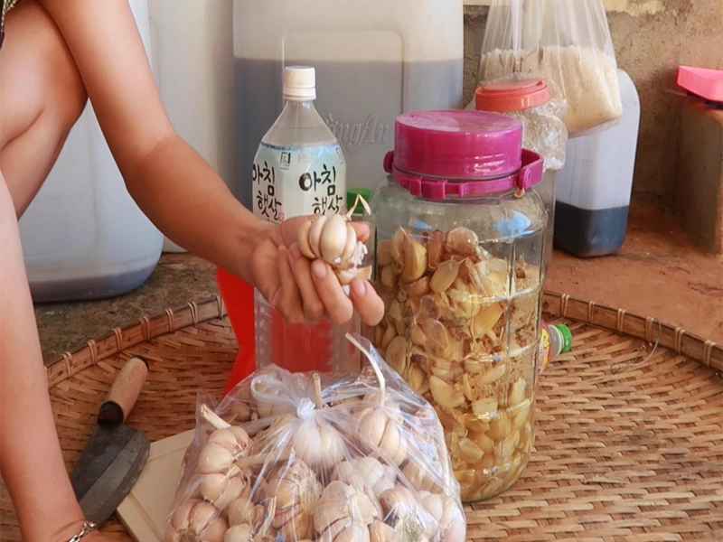 Trị bách bệnh cho gia cầm chỉ với công thức rượu tỏi này