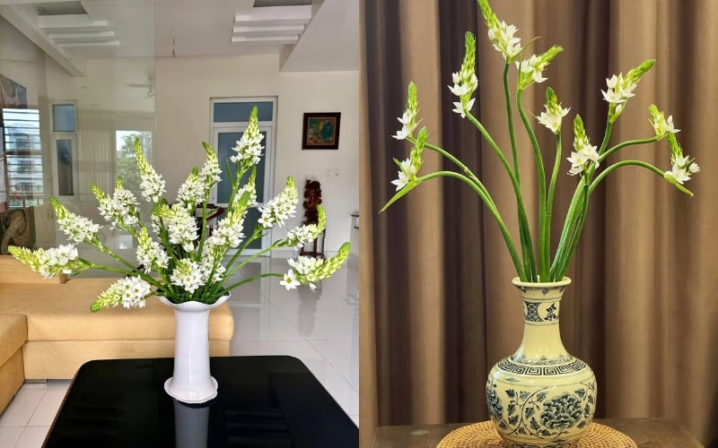 Hoa thiên nga mắt ngọc trai: Bí quyết làm đẹp và chăm sóc tinh khiết