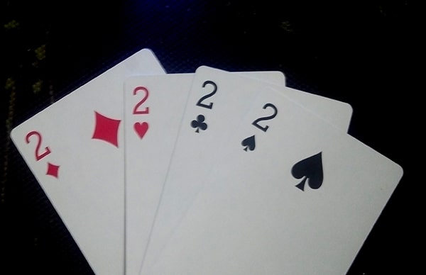 Bật Mí Cách Dụ Heo Đỏ Để Chặt An Toàn Và Hiệu Quả Nhất